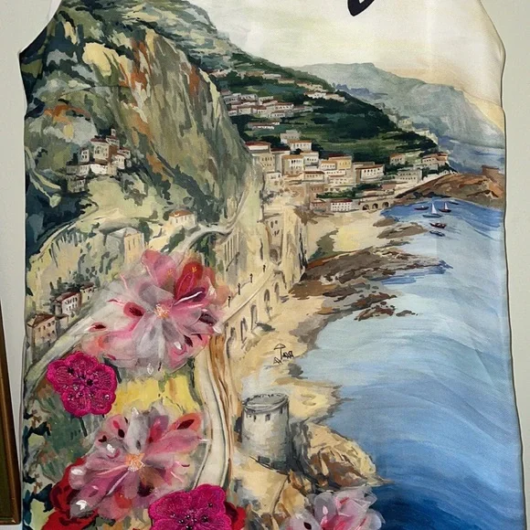 $3,500 Dolce & Gabbana dress size 42 small medium postcard shift dress - Picture 6 of 15